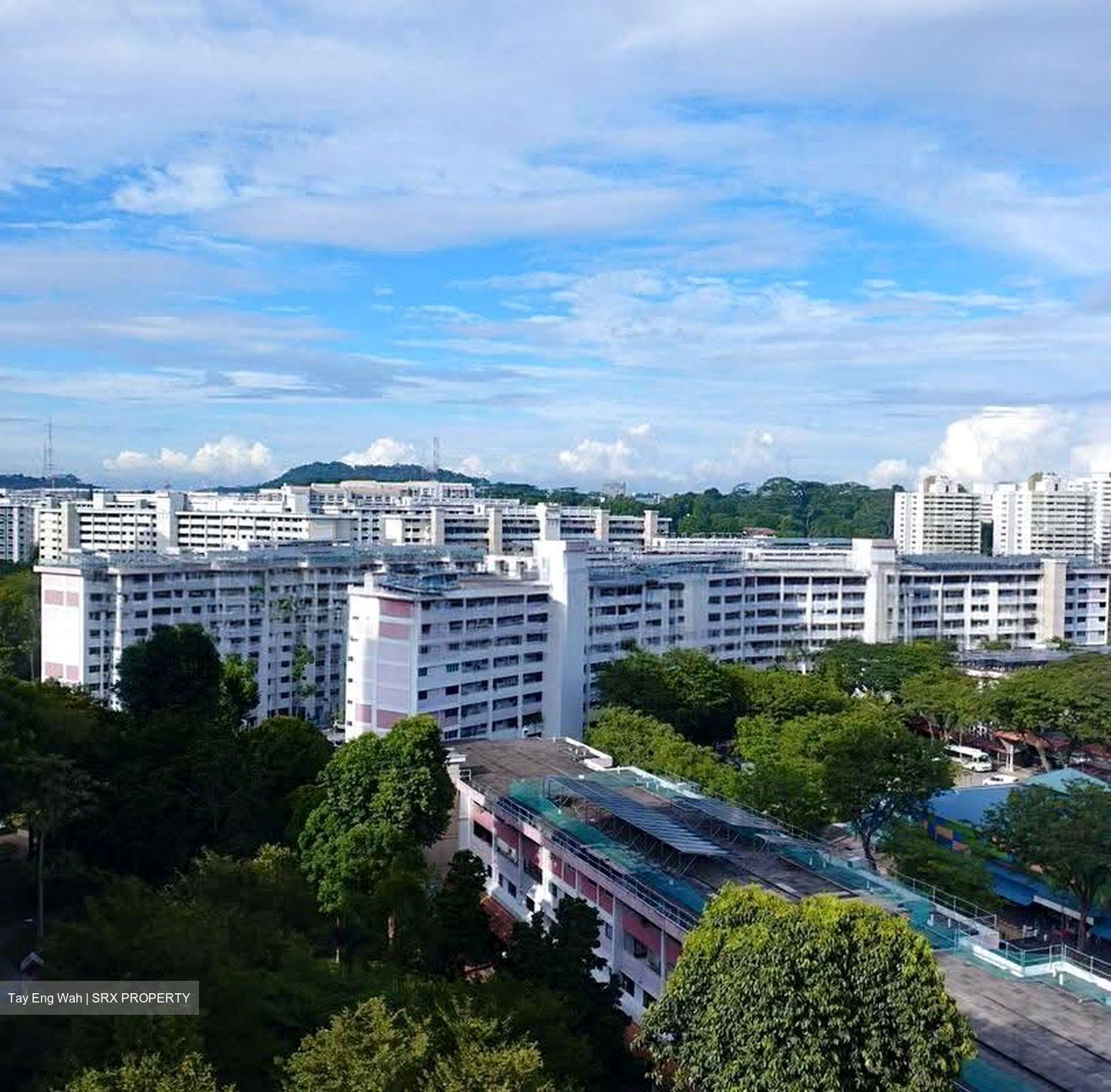 Blk 359 Clementi Avenue 2 (Clementi), HDB 4 Rooms #618461161